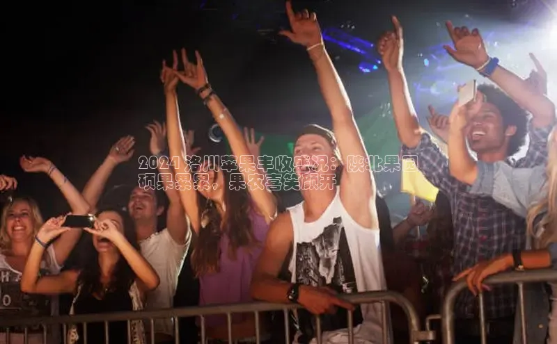 星空综合体育网页版登录百度大脑2024 洛川苹果丰收盛况：陕北果园
硕果累累，果农喜笑颜开