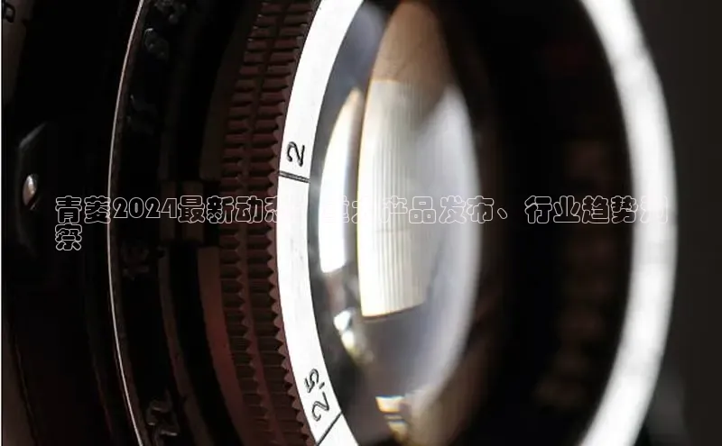 星空综合(中国)官方网站百度网盘青菱2024最新动态：重大产品发布、行业趋势洞
察