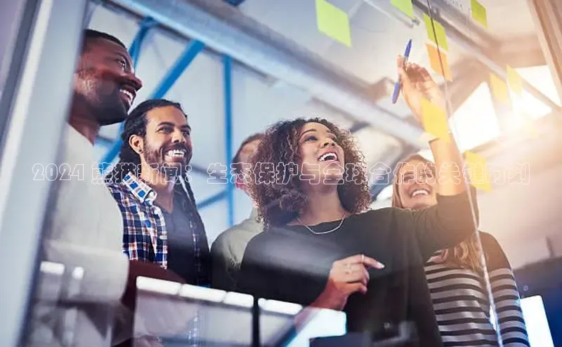 星空体育综合中国官网百度人工翻译2024 熊猫新闻：生态保护与全球合作的关键时刻