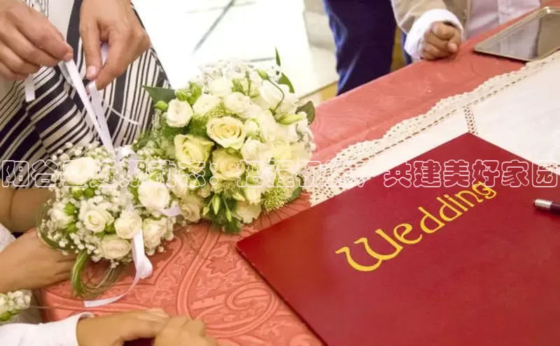 星空综合(中国)官方网站58同城阳谷县近期动态：把握机遇，共建美好家园