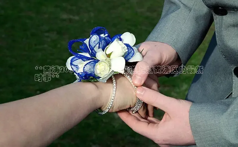 星空体育官方网站小红书**黄浦2024新闻：全面报道上海黄浦区的最新
时事**