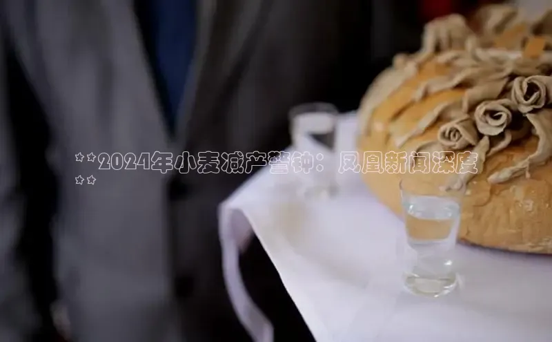 星空体育在线网页版百度翻译App**2024年小麦减产警钟：凤凰新闻深度
**