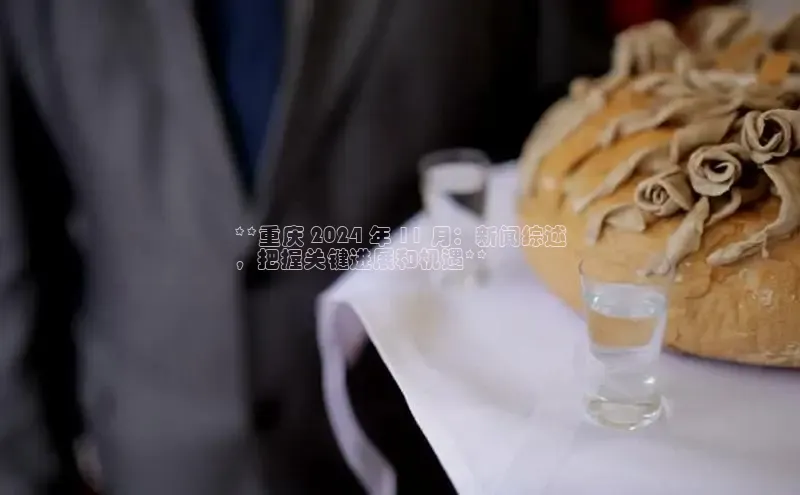 星空·综合体育百度手机输入法**重庆 2024 年 11 月：新闻综述
，把握关键进展和机遇**