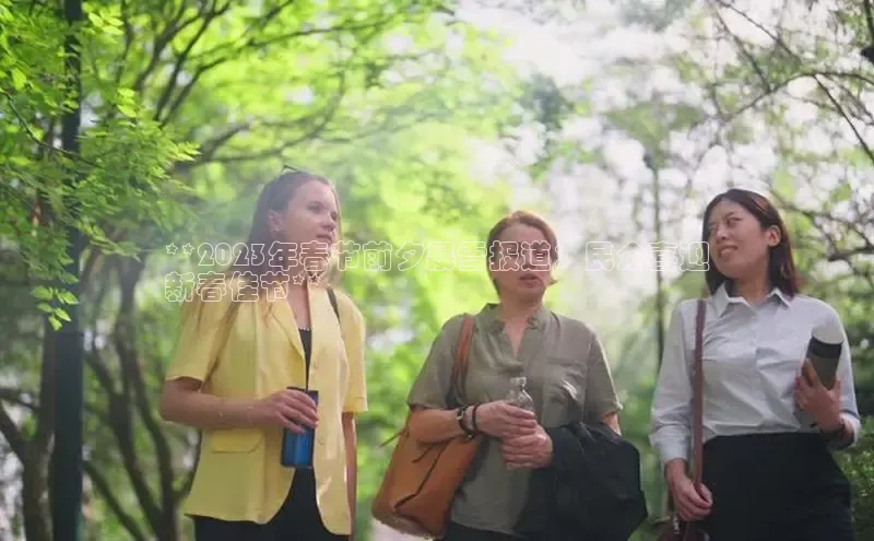 星空体育官方网站百度Apollo**2023年春节前夕暴雪报道：民众喜迎
新春佳节**