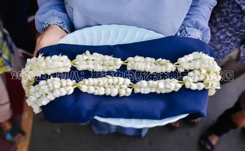 星空体育综合中国官网百度人工翻译2025正月初八：期待中的新年庆典与节日氛围