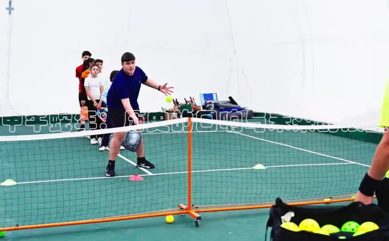 甲午蛇年：历史的回响与未来的展望