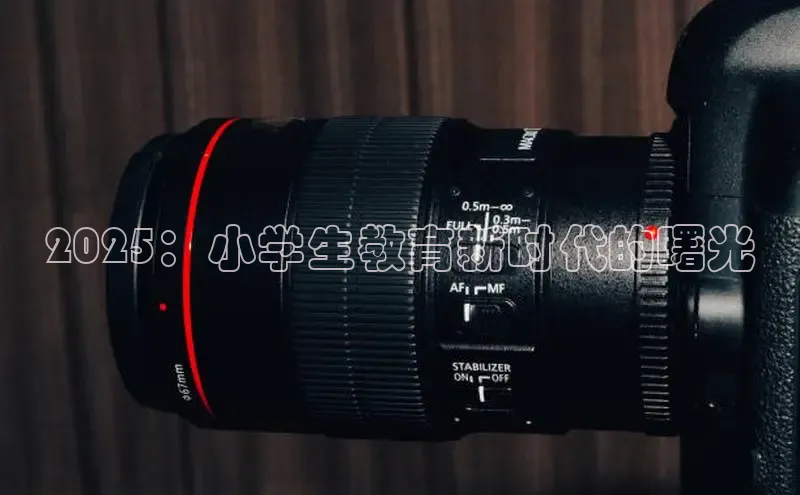 2025：小学生教育新时代的曙光