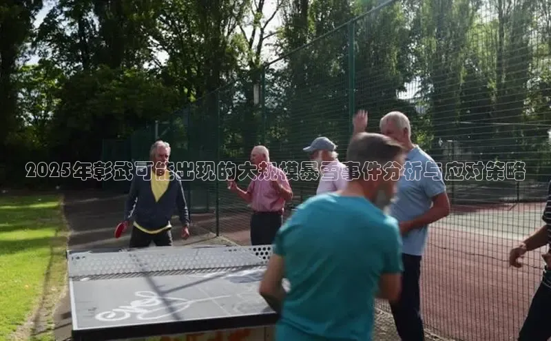 2025年彰武可能出现的大规模暴雪事件分析与应对策略