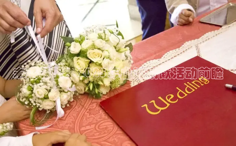 未来希望：2025年血液捐献活动前瞻