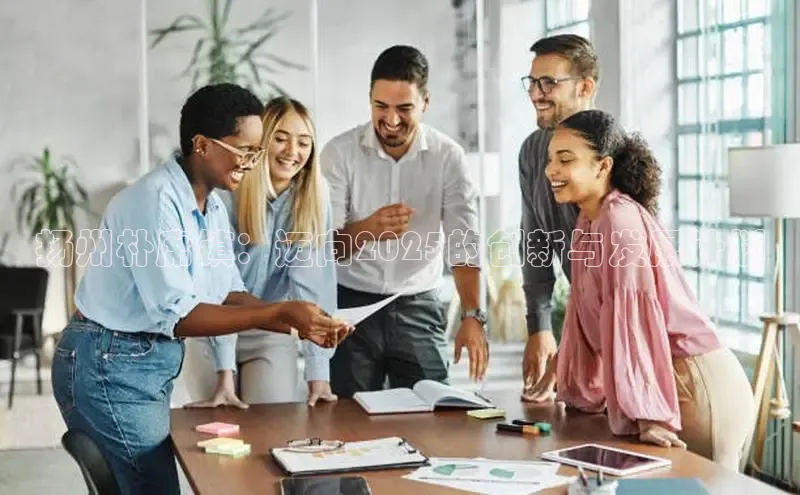 扬州朴席镇：迈向2025的创新与发展计划