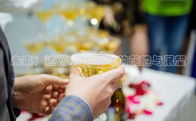 未来：达州市2025年的前瞻与展望