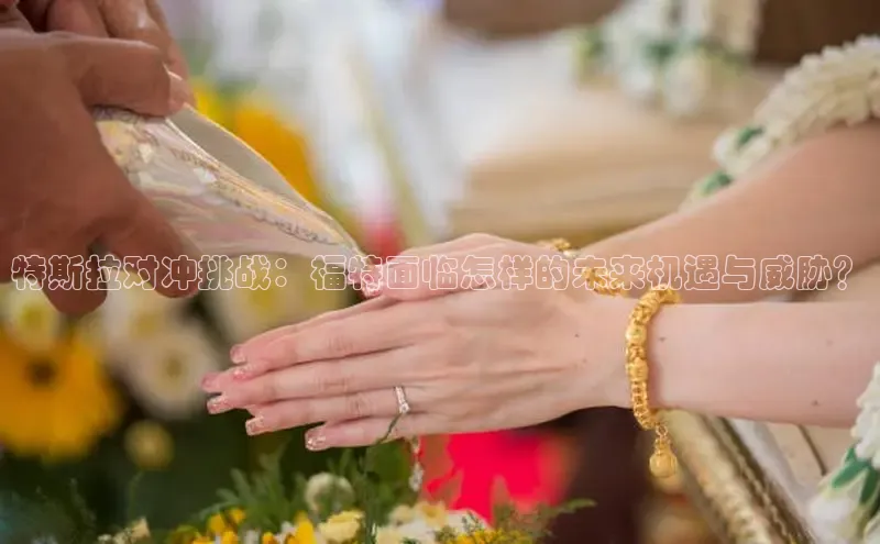 星空体育入口app